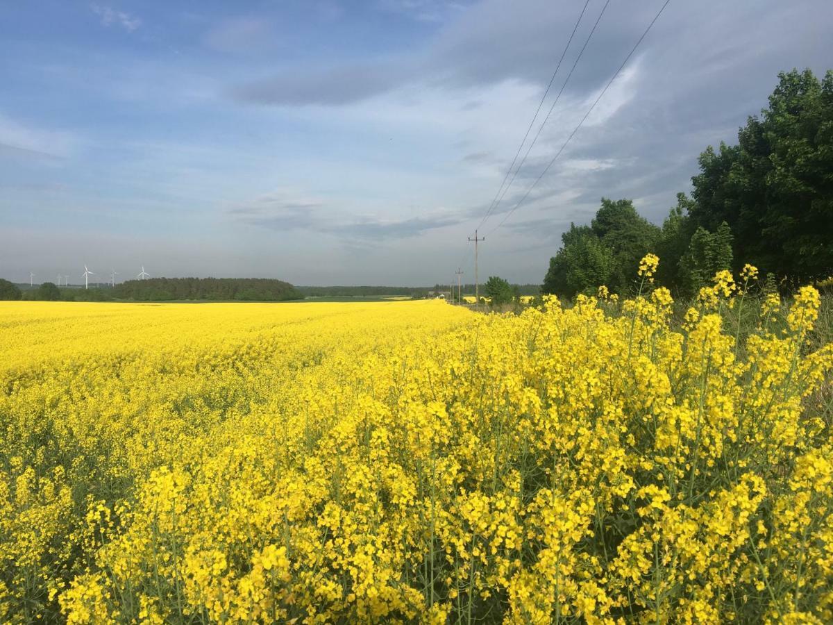 Las, Woda I Przygoda Choczewo Exteriér fotografie